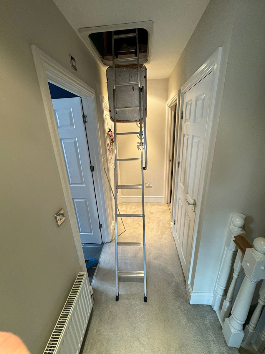 Shropshire loft Ladders